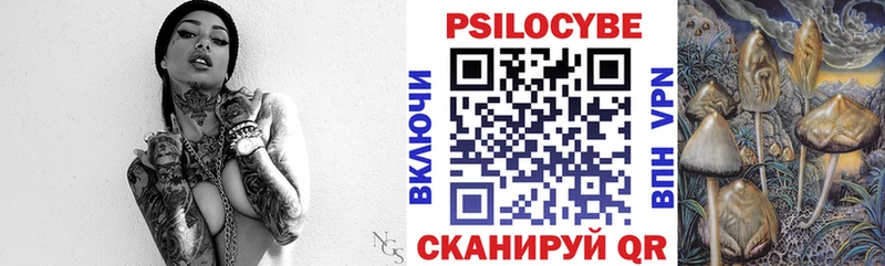 как найти закладки  Куса  Галлюциногенные грибы Cubensis 